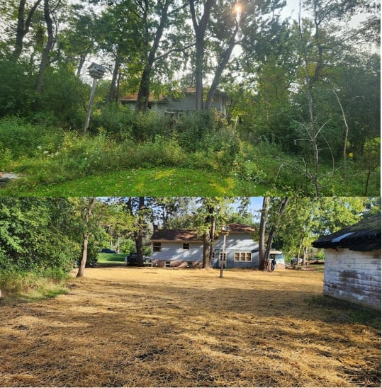 A rural property with a dirt yard surrounded by trees and overgrown vegetation, featuring a house and outbuildings visible in the background