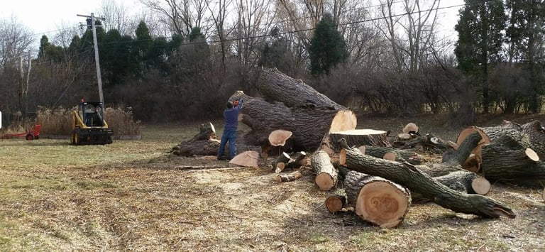 Worker in blue jacket operating chainsaw to cut large logs on ground with heavy equipment in background at outdoor work site