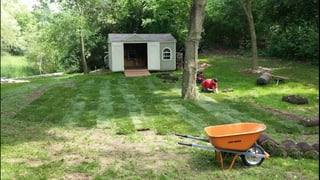 Yard Maintenance