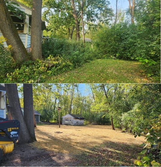 Two views of a wooded residential property showing lush green landscape with mature trees, grass lawn, and house structures visible through the vegetation