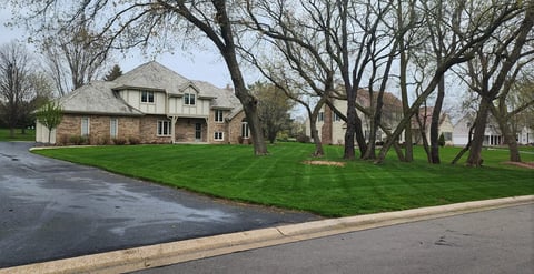 Estate Property