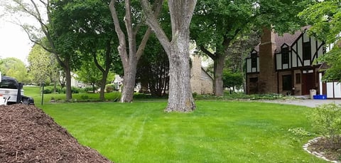 Estate Property