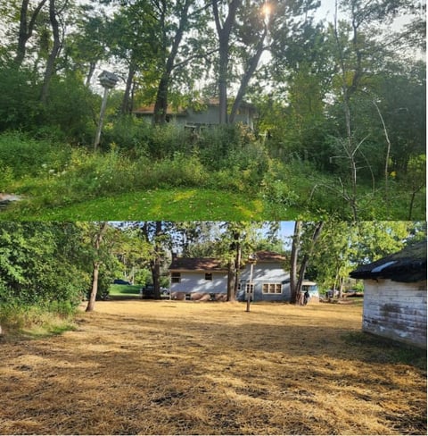 Rural Clearing