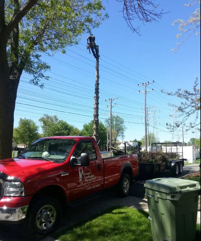 Red utility truck parked on grass near utility poles and power lines on a sunny day with trees